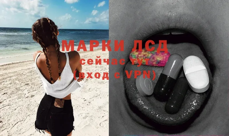 KRAKEN как войти  Губкинский  Лсд 25 экстази ecstasy 